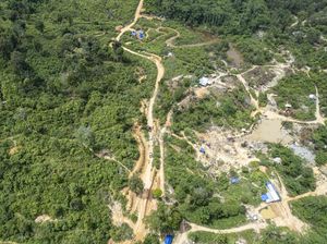 Video: Menhut Raja Juli Klaim Angka Deforestasi Hutan Berkurang