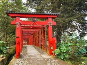 Sakura Hills Tawangmangu, Destinasi Wisata ala Jepang yang Memikat Wisatawan