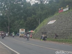 Starling Nekat Jualan di Zona Merah Gempa-Longsor Cianjur