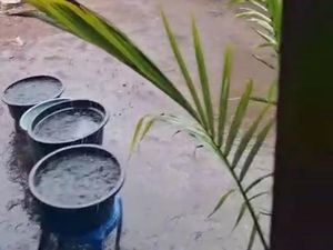 Krisis Air Bersih, Warga Gili Meno Tampung Hujan untuk Mandi-Memasak