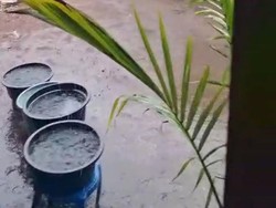 Krisis Air Bersih, Warga Gili Meno Tampung Hujan untuk Mandi-Memasak
