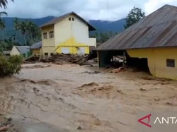 Gedung MTsN 4 Tapsel Rusak Parah Dihantam Kayu-kayu Besar yang Terbawa Banjir
