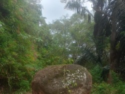 Batu Besar Terguling di Tengah Jalan di Manggarai Barat, Lalin Terganggu