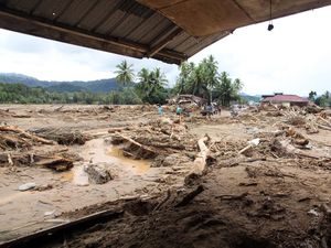 Data BNPB: Korban Tewas Bencana di Sumut Bertambah Jadi 116 Orang-42 Hilang