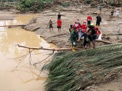 Walhi Tepis Bobby Nasution yang Sebut Banjir di Sumut karena Cuaca Ekstrem