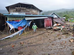 Video Usaha Petani Sumbar Selamatkan Sisa Panen Setelah Dihempas Banjir