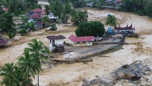 Bingkai Sepekan: Pilu Aceh-Sumut-Sumbar Dikepung Banjir dan Longsor