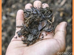 Video: Kompos Bukan Sampah, Tapi Solusi