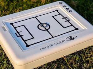 Video: Disabilitas Netra