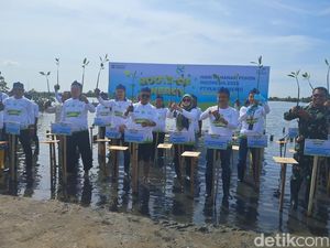 Andra Soni Tanam Mangrove di Serang, Harap 8 Ribu Pohon Tak Hilang