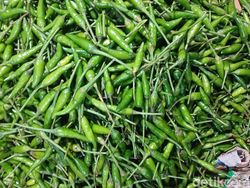 Banjir-Longsor di Sumatera Putuskan Pasokan Cabai ke Batam, Harga Mulai Naik