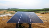 Jadi Tulang Punggung Listrik Hijau di IKN, Kebun Matahari 50 MW Siap Dibangun