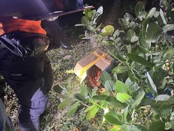 Bayi Laki-laki Ditemukan dalam Kardus di Pinggir Jalan Bima, Masih Bertali Pusar