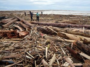 Fakta-fakta Gelondongan Kayu di Banjir Sumatera