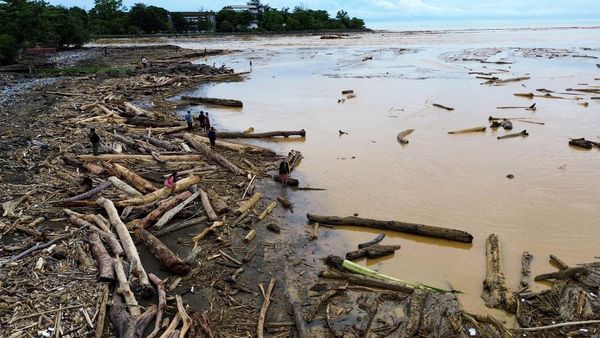 Pantai Air Tawar Dipenuhi Kayu Gelondongan Usai Banjir Bandang