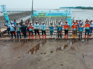 Karawang Tanam 15 Ribu Mangrove untuk Redam Abrasi