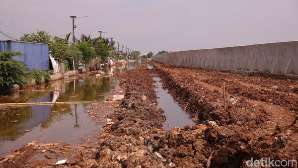 Ruang Hijau Baru Mulai Dibangun di Muara Baru