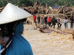 Viral Aksi Penyelamatan Kucing di Banjir Sumatera