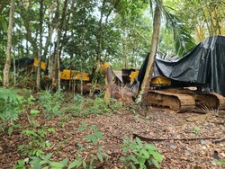 Satgas PKH Temukan 25 Alat Berat Ilegal di Bangka Tengah, Ada yang Dikubur