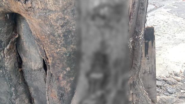 TKP Kecelakaan Gary Iskak.