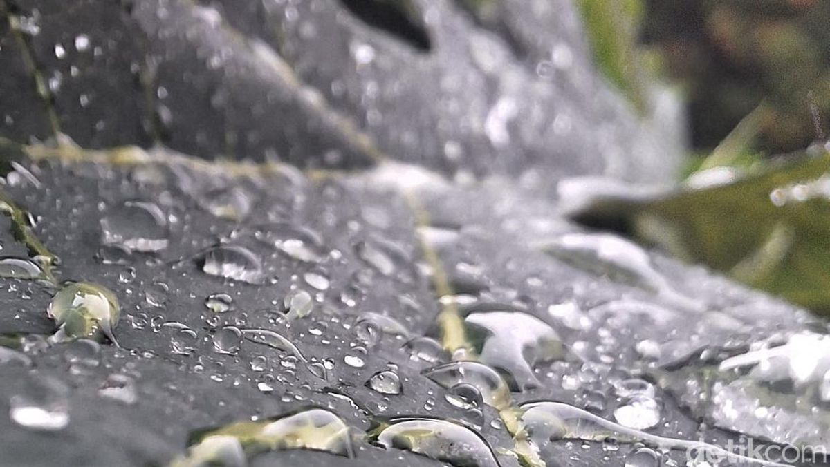 Prakiraan Cuaca Cirebon Menurut BMKG, Kamis 8 Januari 2026