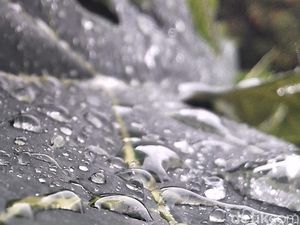 Prakiraan Cuaca Jateng Hari Ini: Majenang-Blora Berpotensi Hujan