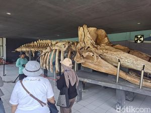 Melihat Kerangka Paus di Museum Ikan Paus di Pulau Tidung