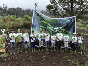 Cegah Degradasi Lingkungan, PTPN IV PalmCo Intensifkan Penanaman Pohon di 12 Provinsi