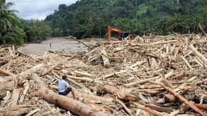 Pakar Kehutanan IPB: Kayu-kayu di Banjir Sumatera Terindikasi Ulah Manusia