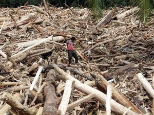 Video: Komisi V DPR Soroti Penyebab Bencana di Sumatera Akibat Kerusakan Alam