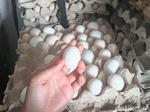 Mitos atau Fakta, Telur Tembean Bisa Tingkatkan Peluang Hamil?