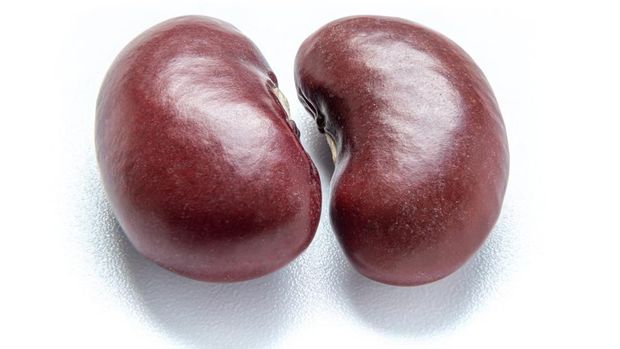 1296702758 close up macro shot Red kidney beans isolated on white background. Pile of red beans. vegan food. healthy food concept