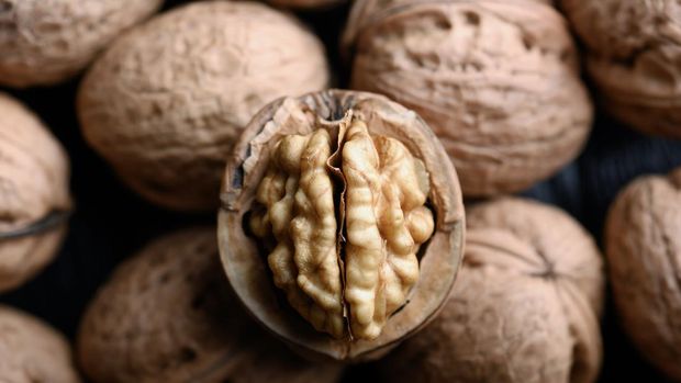 2159148784 Cracked walnut with kernels on heap of whole walnuts close up. Food photography