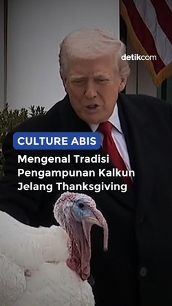 Video CULTURE ABIS: Mengenal Tradisi Pengampunan Kalkun  Jelang Thanksgiving