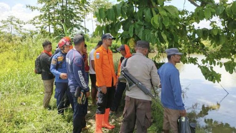 Tragedi Luwu: Dua Pria Diterkam Buaya Saat Cari Keluarga Hilang di Empang