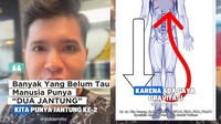 Viral di Medsos Manusia Ternyata Punya 'Jantung Kedua' di Betis, Apa Maksudnya?