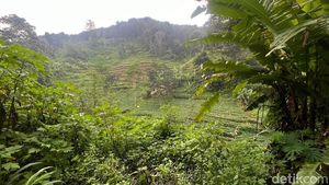 Potret Pasutri Puluhan Tahun Hidup di Dasar Jurang Mojokerto