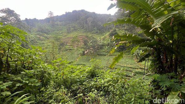 Potret Pasutri Puluhan Tahun Hidup di Dasar Jurang Mojokerto