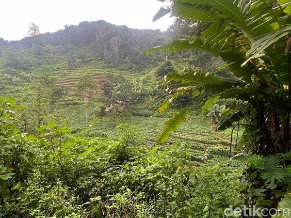 Potret Pasutri Puluhan Tahun Hidup di Dasar Jurang Mojokerto