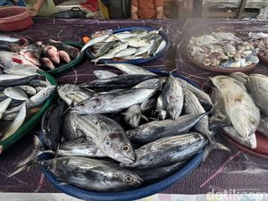 Pasokan Susah, Harga Ikan di Medan Melambung Pasca Banjir
