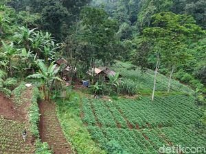 Kisah Pasutri yang 22 Tahun Tinggal di Dasar Jurang Mojokerto