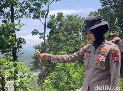 Monyet di Piket Nol Kelaparan, Polisi Datang Beri Umbi dan Buah