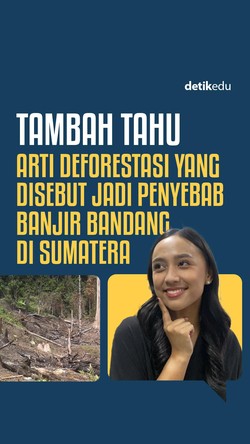 Tambah Tahu: Arti Deforestasi yang Disebut Jadi Penyebab Banjir Bandang di Sumatera