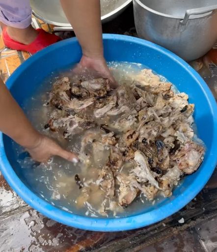 ayam bekas filipina