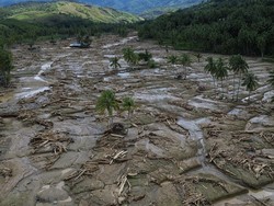 Banyak Kayu Gelondongan di Banjir Sumatera, Pakar UB: Indikasi Penebangan Hutan