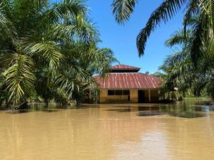 Banjir-Longsor di Subulussalam Aceh: 5 Jembatan, 2 Jalan dan 2 SD Rusak
