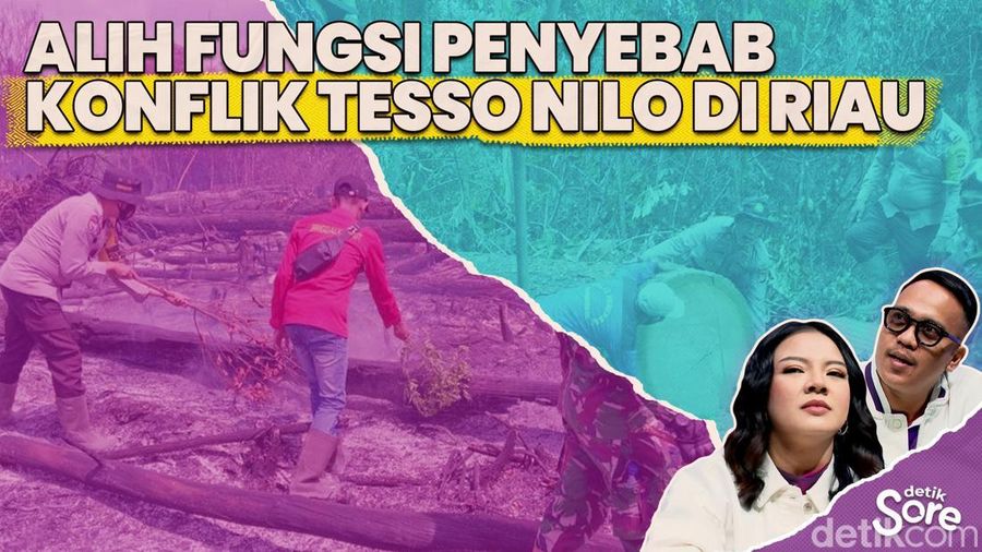 Video: Polemik Tesso Nillo, Habitat Taman Nasional Semakin Terancam 