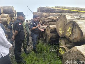 1.199 Batang Kayu Ilegal Sampai ke Gresik, Dirut PT BRN Jadi Tersangka