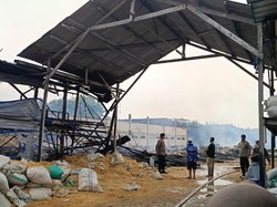 4 Bangunan Kandang Ayam di Lamongan Ludes Terbakar, Kerugian Rp 2 M