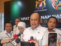 Bos BGN Minta Pengusaha Pasok Sapi Perah buat Kebutuhan Susu MBG